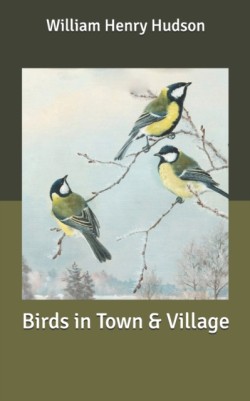 Birds in Town & Village