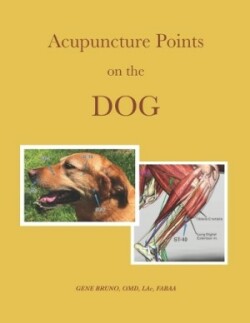 Acupuncture Points on the Dog