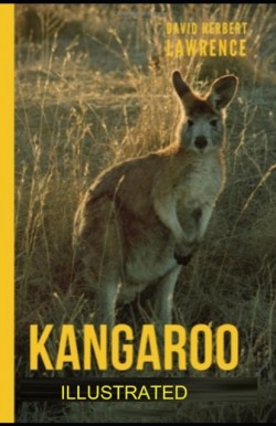 Kangaroo illustrated