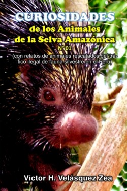 Curiosidades de Los Animales de la Selva Amazónica N° 01