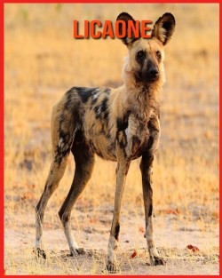 Licaone