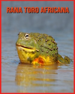 Rana Toro Africana