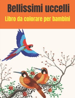 Bellissimi uccelli Libro da colorare per bambini