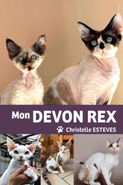 Mon Devon Rex