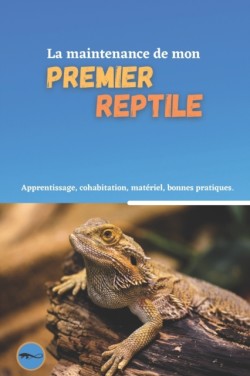 maintenance de mon premier reptile