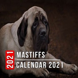 Mastiffs Calendar 2021