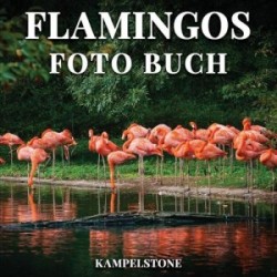 Flamingos Foto Buch