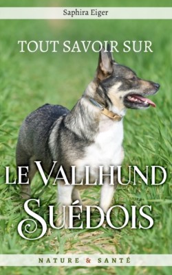 Tout Savoir sur le Vallhund Suédois