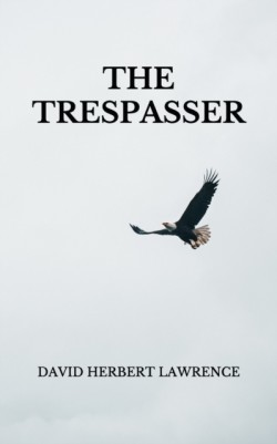 Trespasser