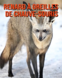 Renard a Oreilles de Chauve-Souris