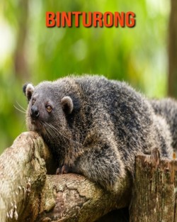 Binturong