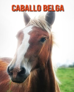 Caballo belga