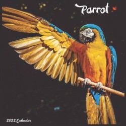 Parrot 2022 Calendar