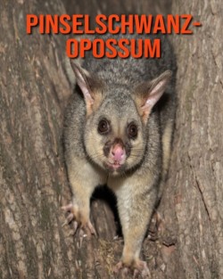 Pinselschwanz-Opossum