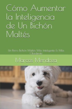 Cómo Aumentar la Inteligencia de Un Bichón Maltés