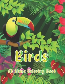 Birds At Home Coloring Book