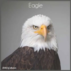 Eagle 2022 Calendar