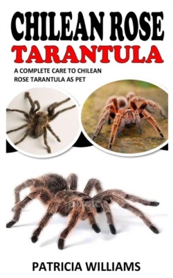 Chilean Rose Tarantula