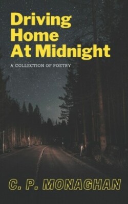Driving Home at Midnight