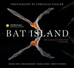 Bat Island